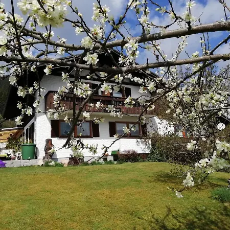 Haus Noess Appartement